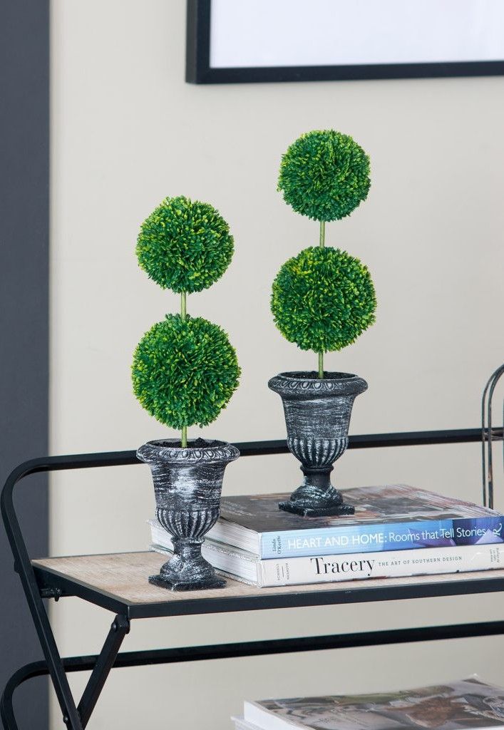 Растение декоративное Самшит двухярусный Glasar 29572-BLAC