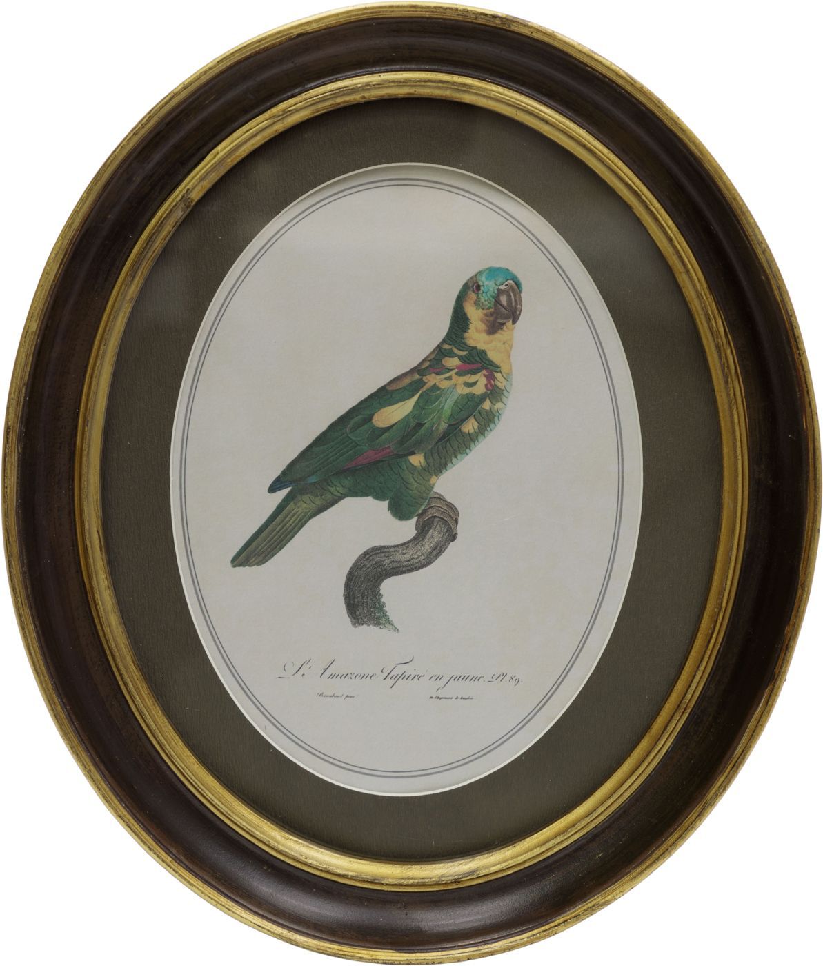 Панно настенное Попугай, под старину Glasar 28-371