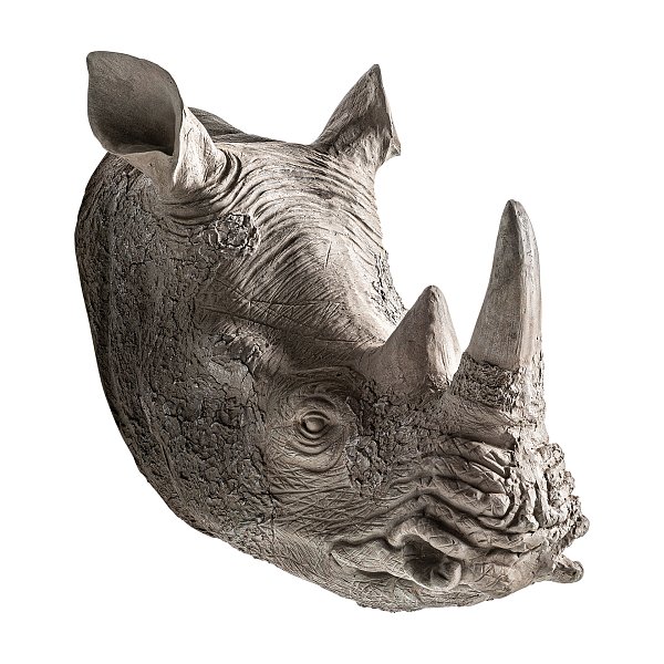Бюст Rhinoceros Vical