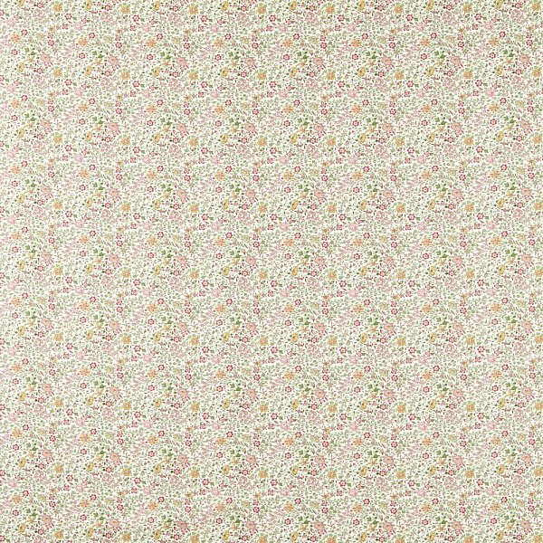 Текстиль Clarke &amp; Clarke Indira F1811/03