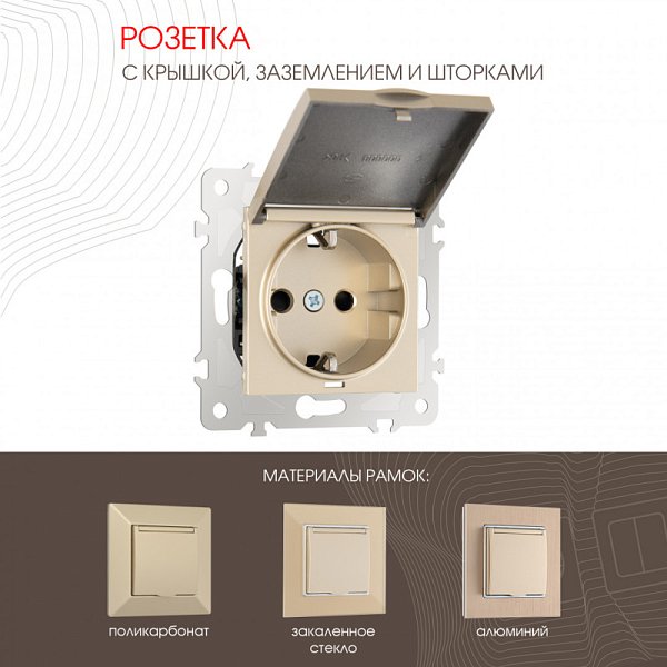 Розетка Arte Milano 203.41-1.shampan