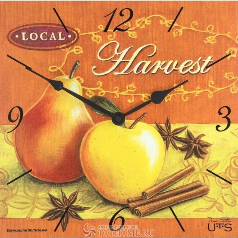 Настенные часы Tomas Stern 6017