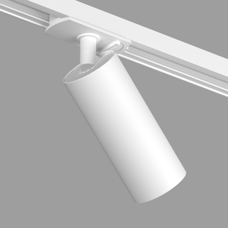 Светильник на шине Denkirs DK6060-BW+WH