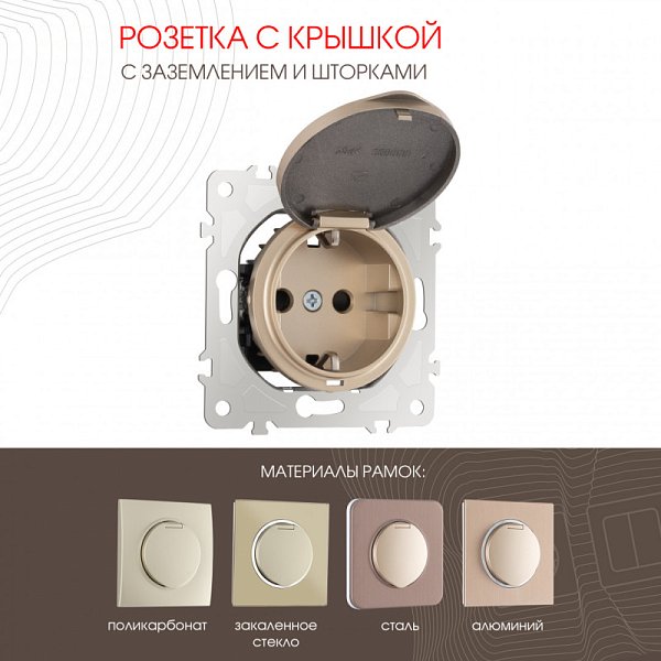 Розетка Arte Milano 202.41-1.shampan