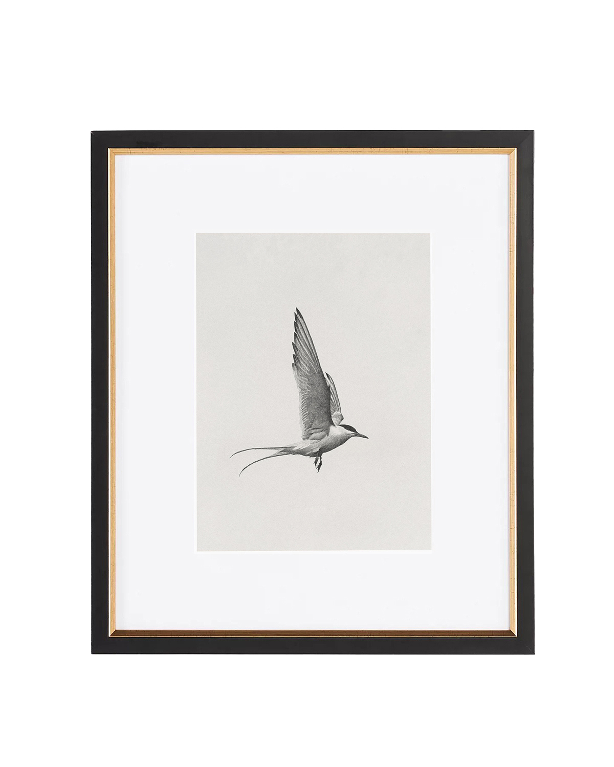 Прямоугольный постер Flight II Louvre Home DPP480924VHS