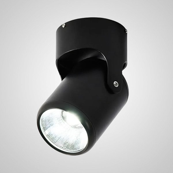 Потолочный светильник FUN D80 Black by ImperiumLoft