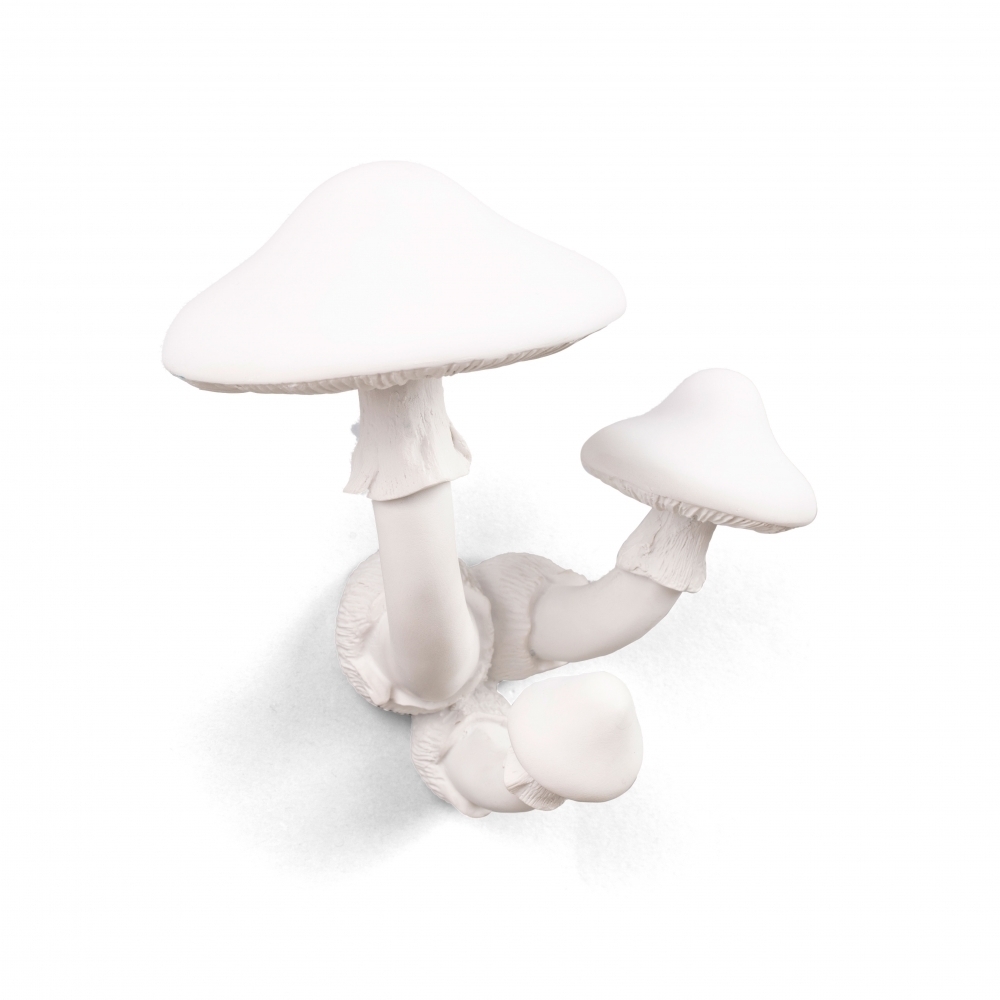 Вешалка Seletti Mushroom 14634