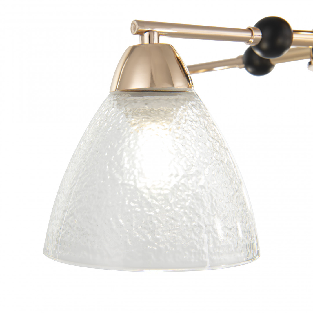 Люстра с плафонами 324119/5 FG+BK Arte Milano