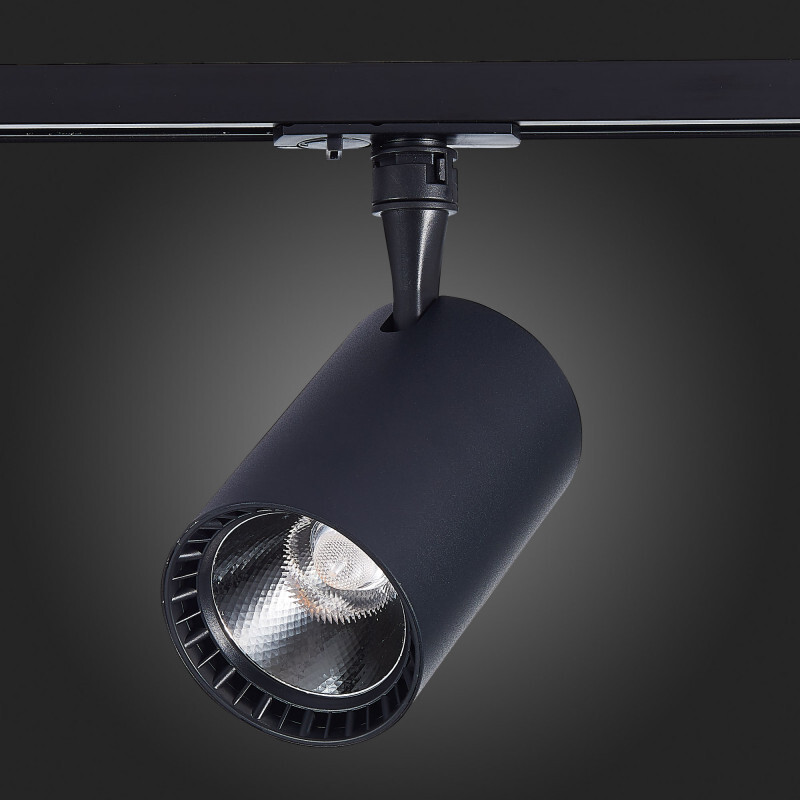 Светильник на шине ST Luce ST351.446.20.36