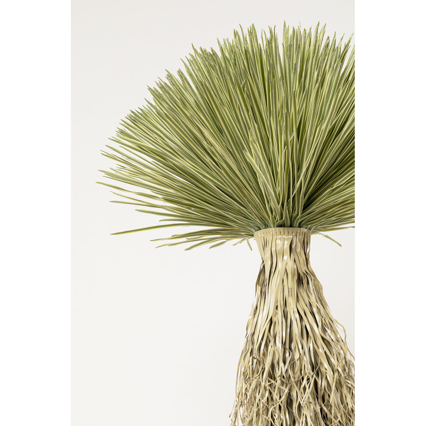 Растение декоративное Yucca Rostrata 240 см KARE 55920