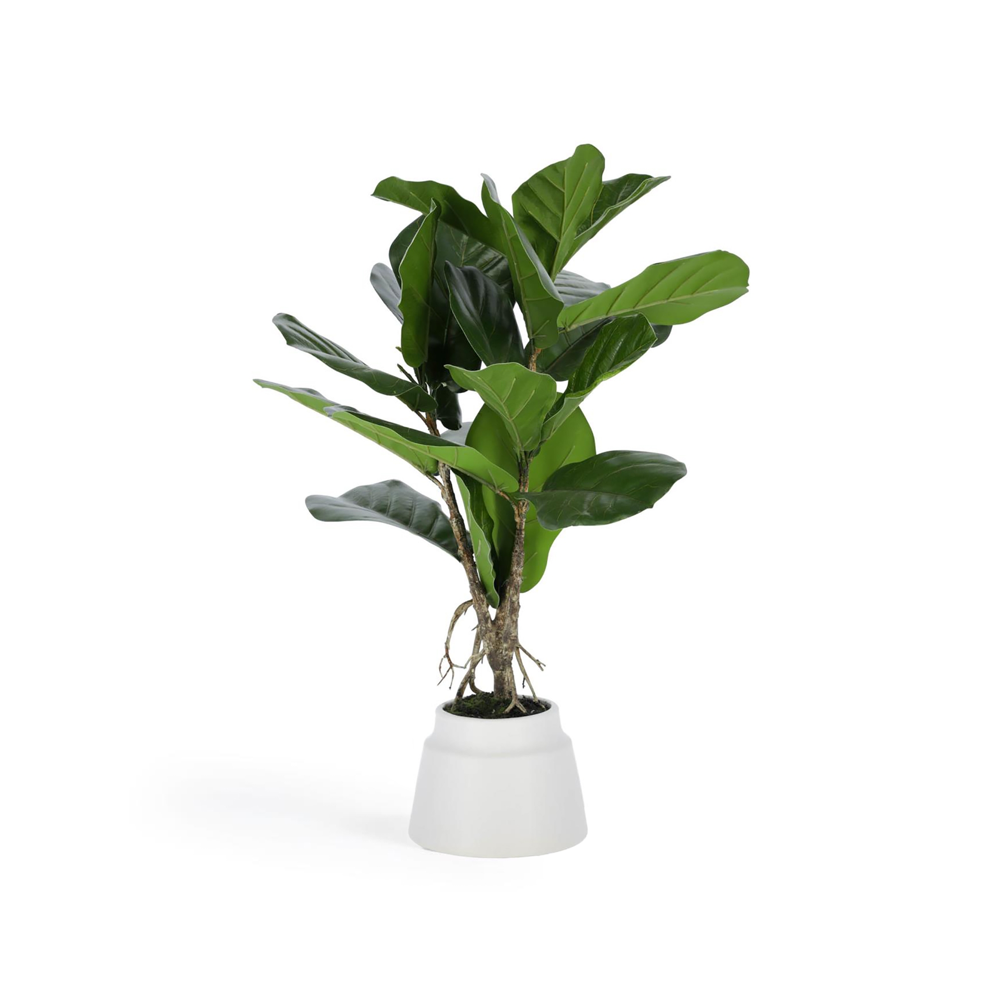 Flower Искусственное растение лирата 60см La Forma (ex Julia Grup)