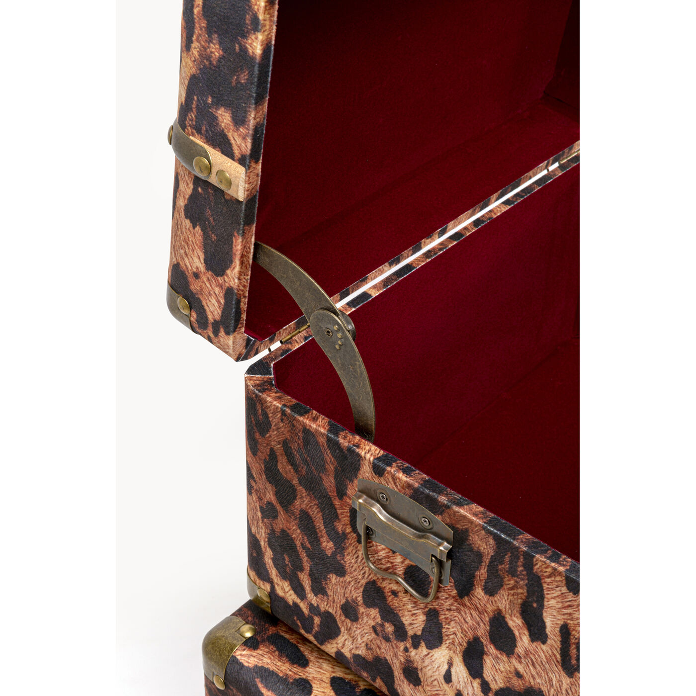 Шкатулка Wild Animal Leo (3/Set) KARE 71236