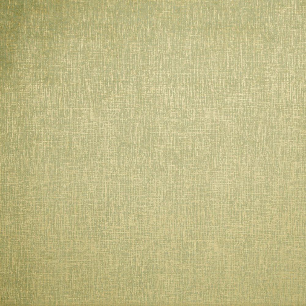 Текстиль Clarke & Clarke Dimensions F0751/02