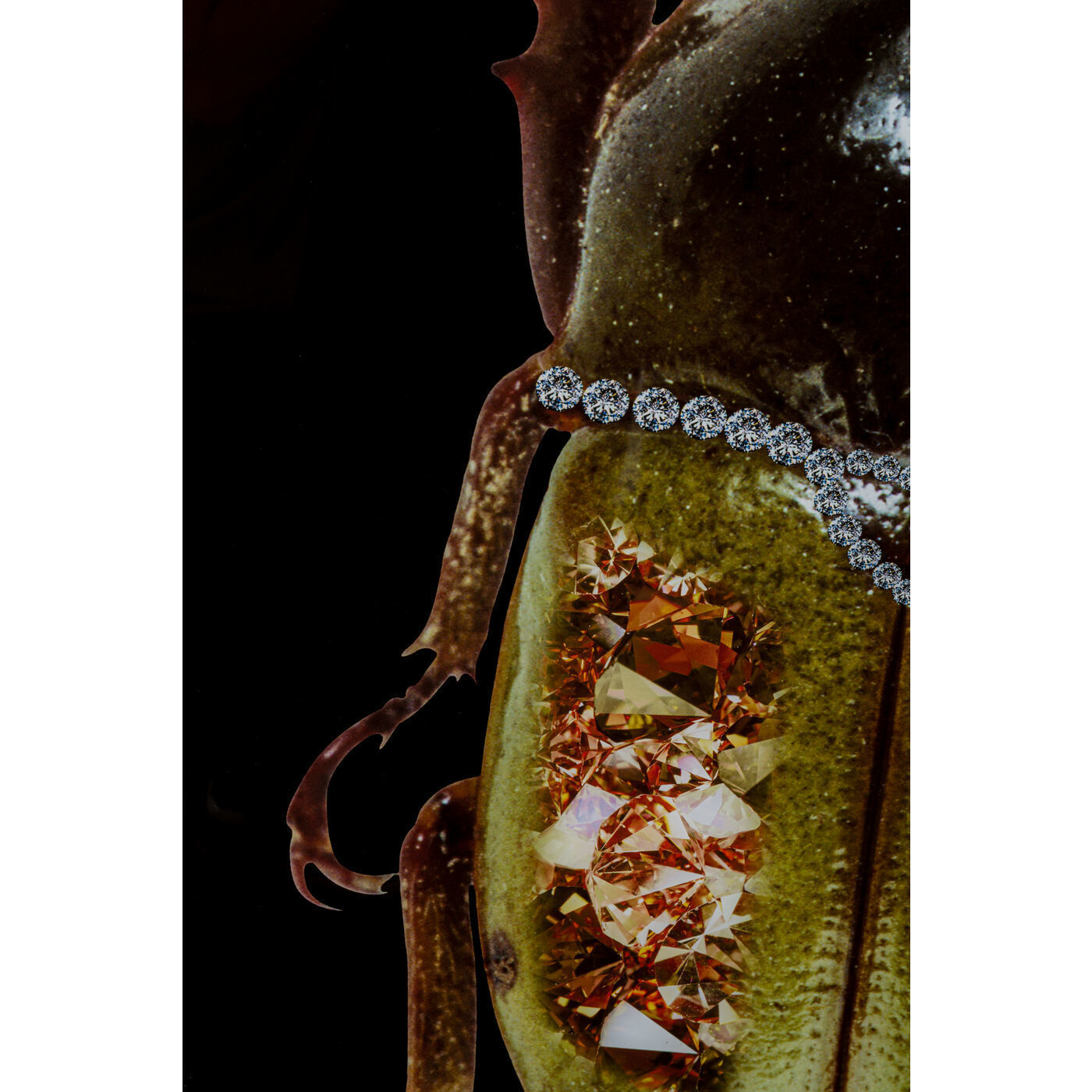 Картина Beetle 53593 Kare