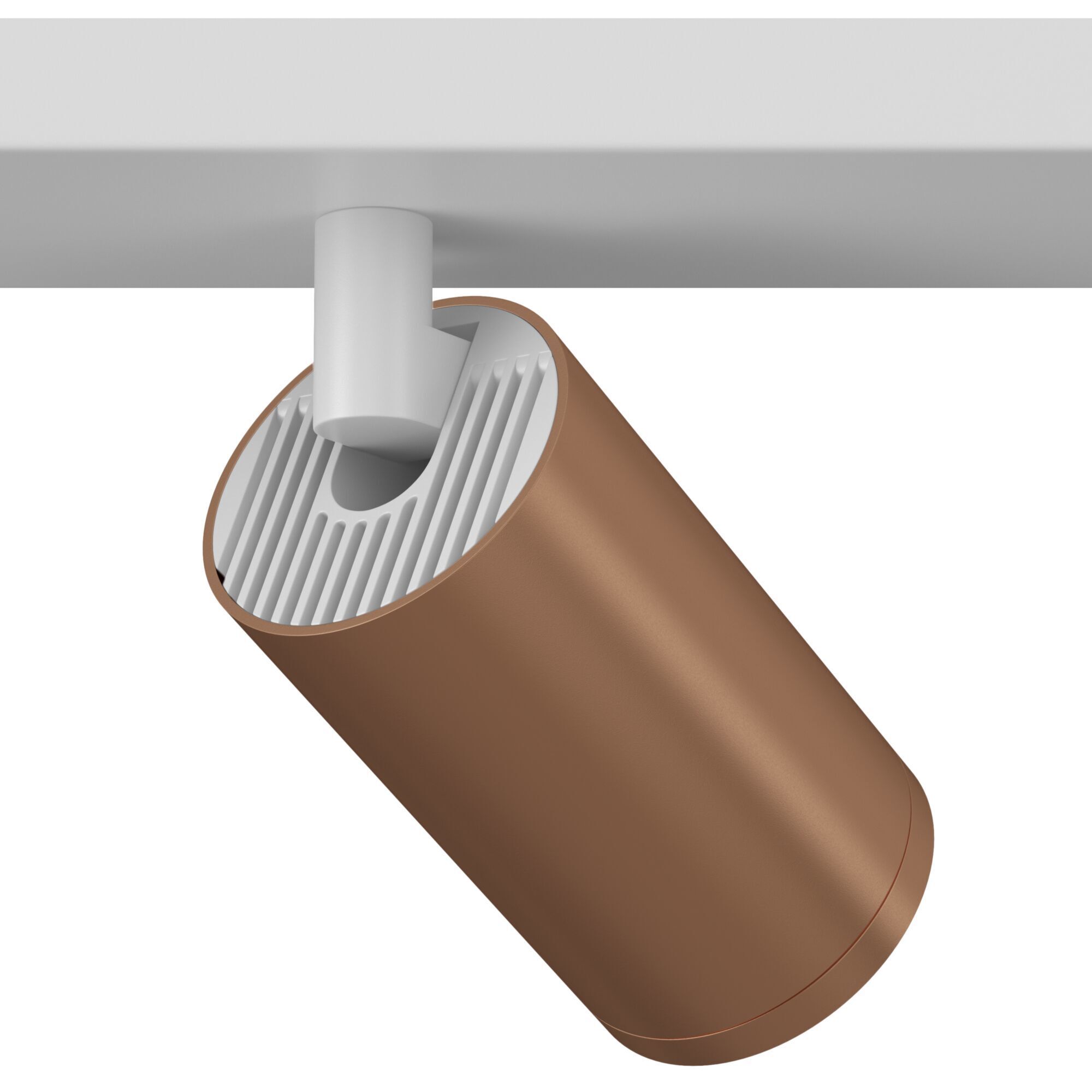 Потолочный светильник (Набор) Maytoni C051CL-2WC