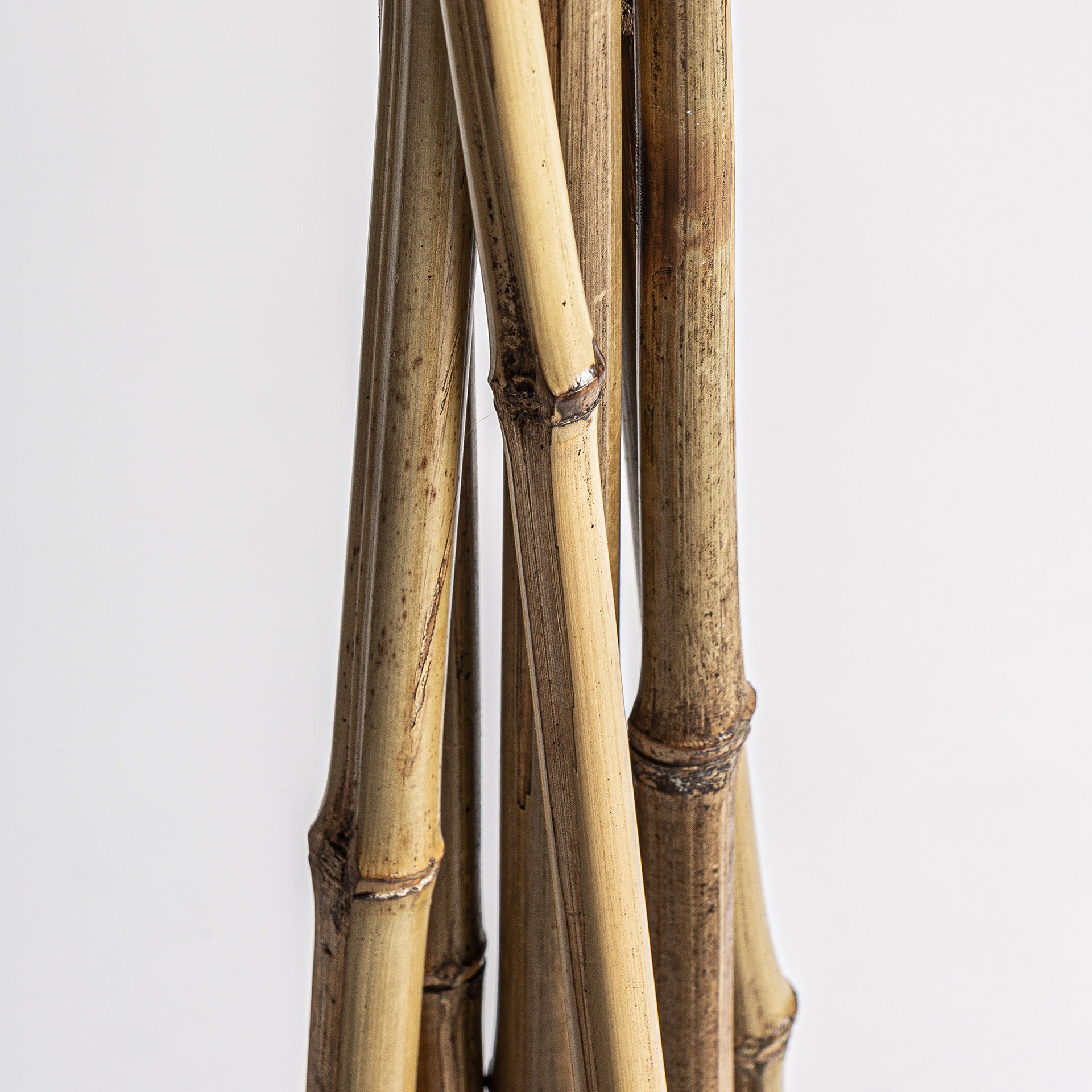 Набор декоративных веток 6 шт Vical