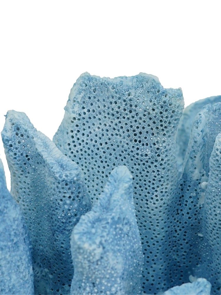 Декор настольный Коралл Glasar 70537