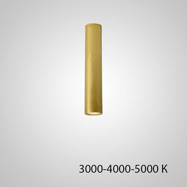 Точечный светильник PAN H30 Gold Трехцветный свет by ImperiumLoft