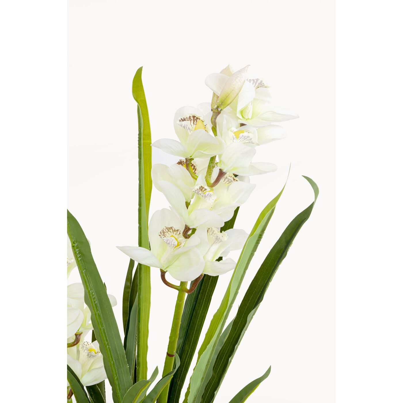 Растение декоративное Orchid 100m KARE 58434