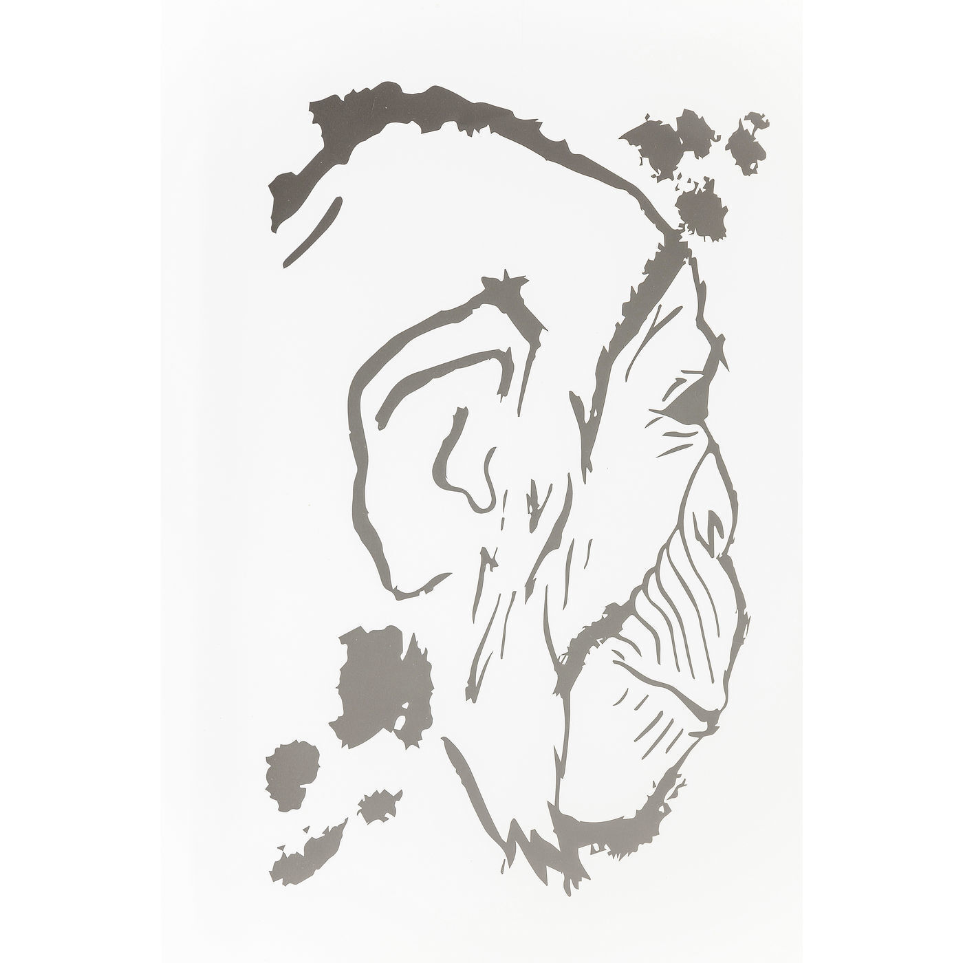 Картина в рамке Monkey 60390 KARE