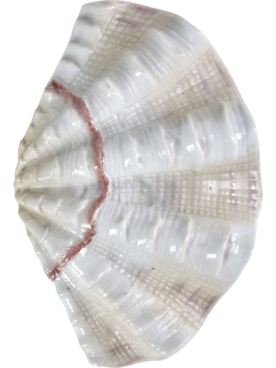 Фигурка раковина Тридакна, в ассортименте Glasar F1181/4