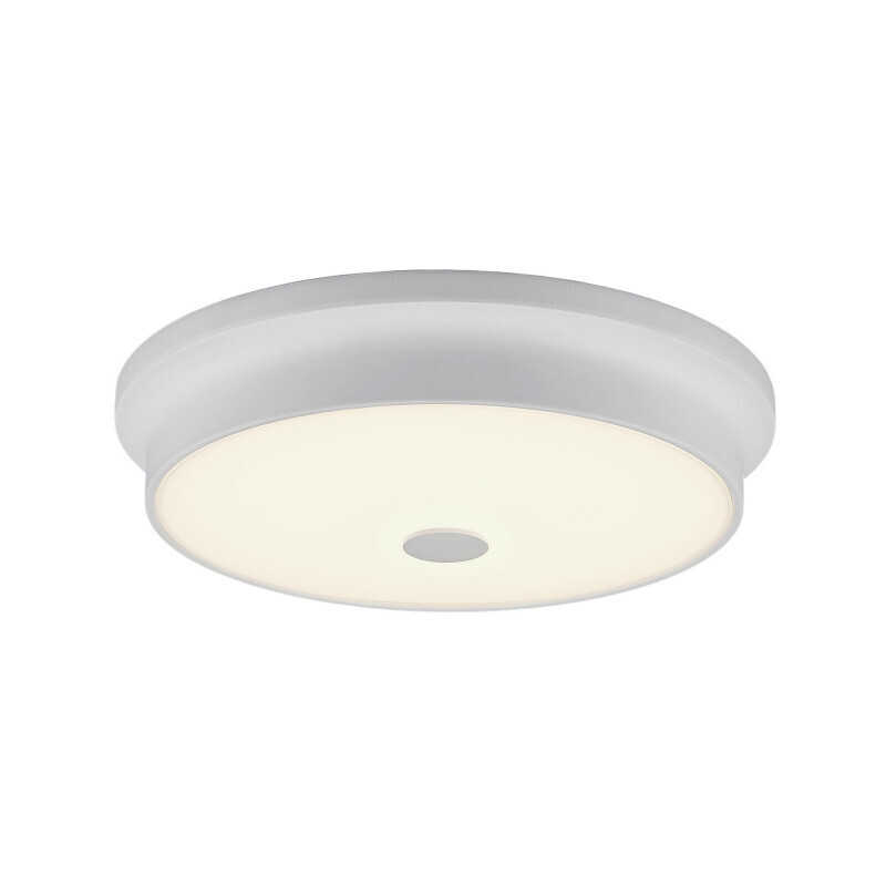 Накладной светильник Citilux CL706230