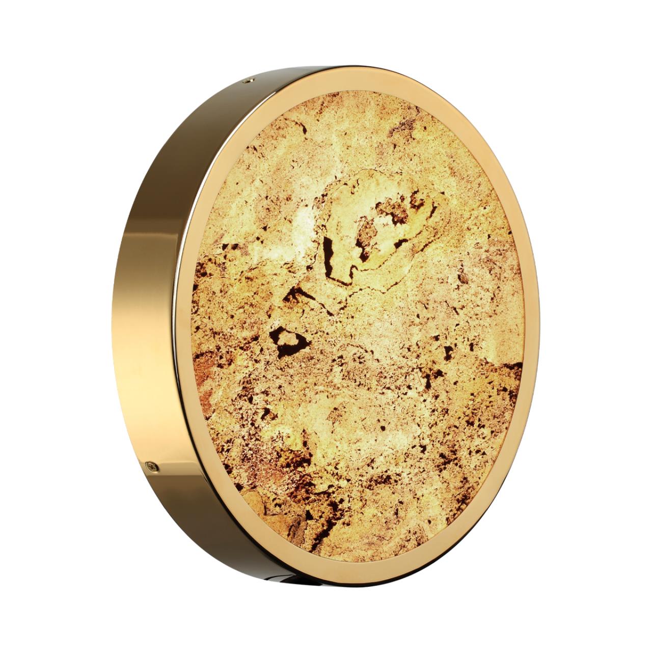 Настенно-потолочный светильник Odeon Light 5079/24L