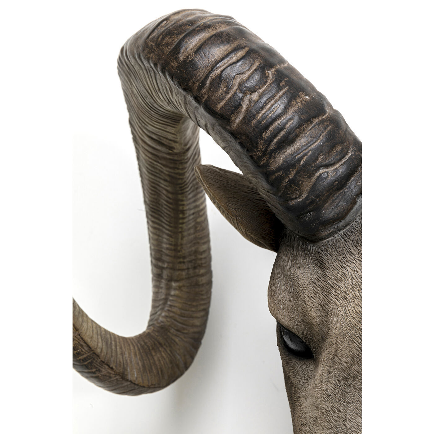 Украшение настенное Ram Head 52922 Kare