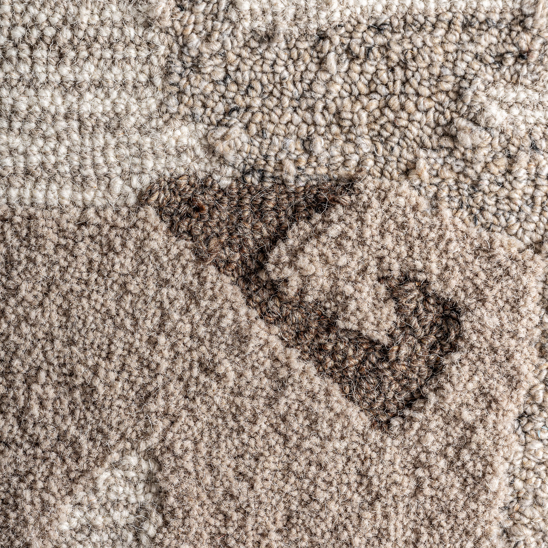 Картина IVAR Vical