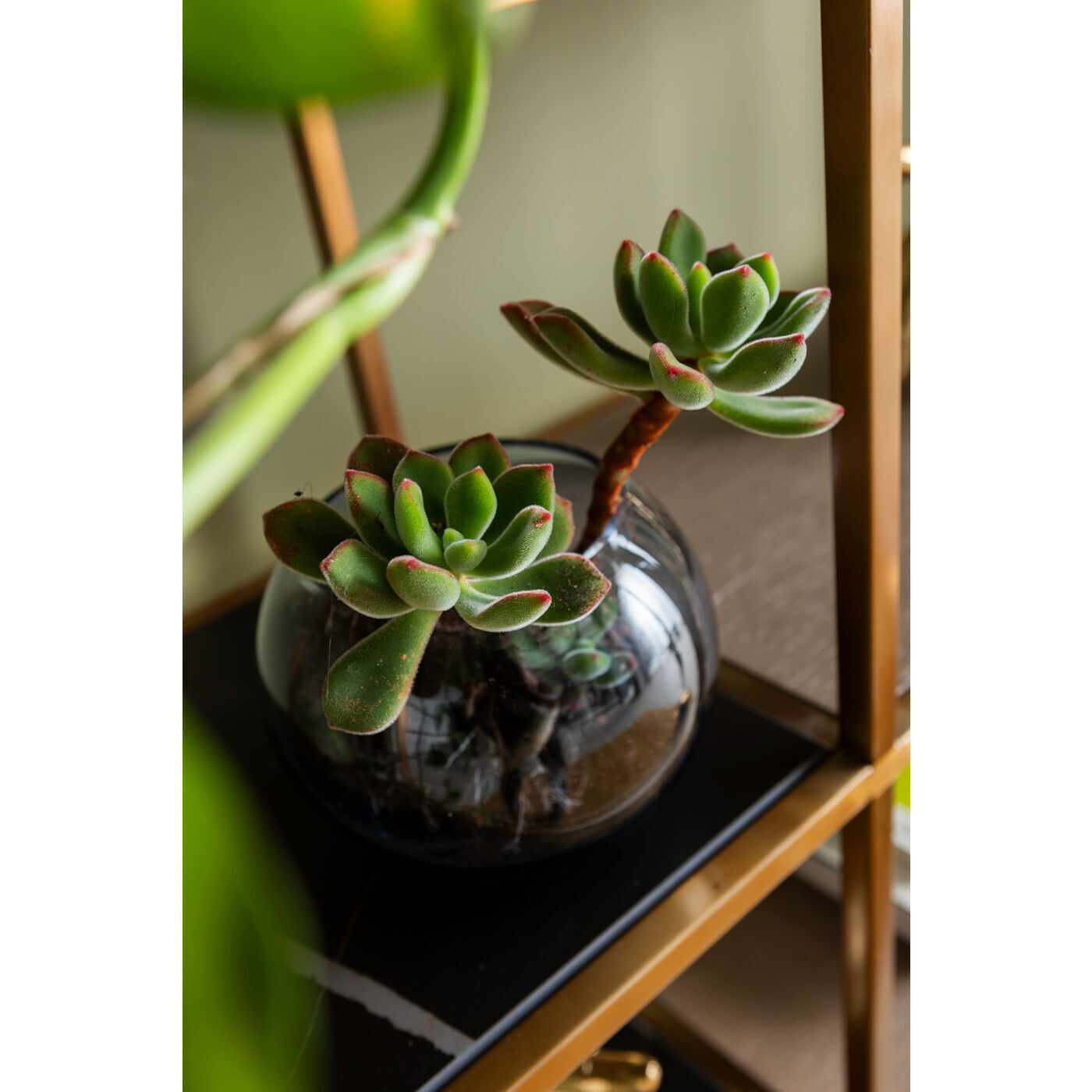 Стеллаж KARE Caesar 85861