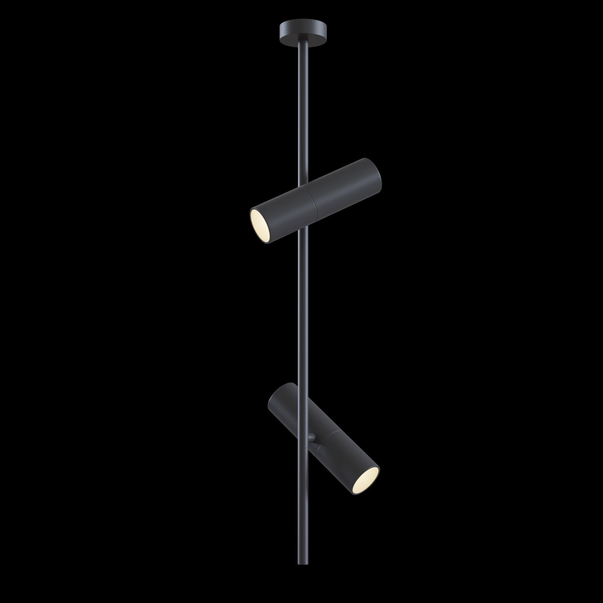 Потолочный светильник Maytoni C021CL-02B