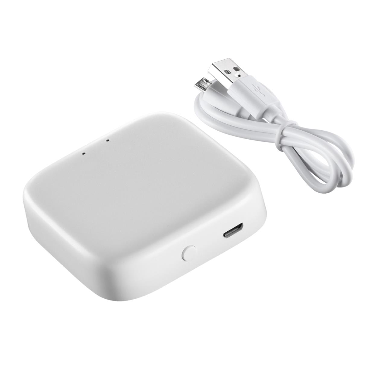 Интеллектуальный Bluetooth-шлюз Tuya Smart Life для умного дома 2,4ГГц Novotech 359457