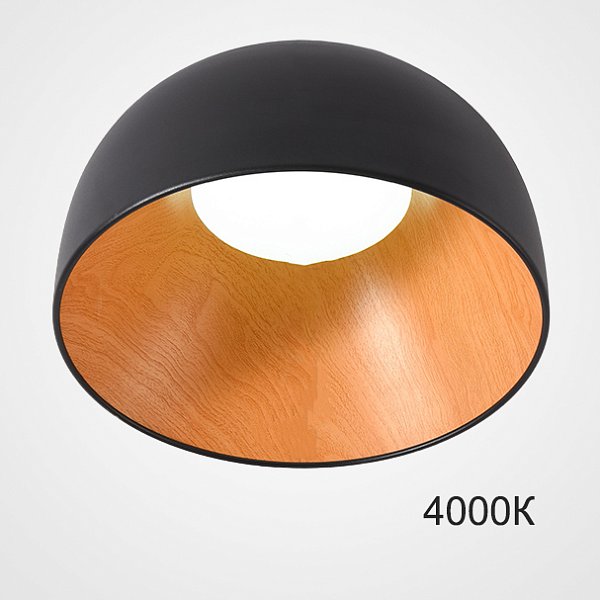Потолочный светильник NORDA A Black 4000К by ImperiumLoft
