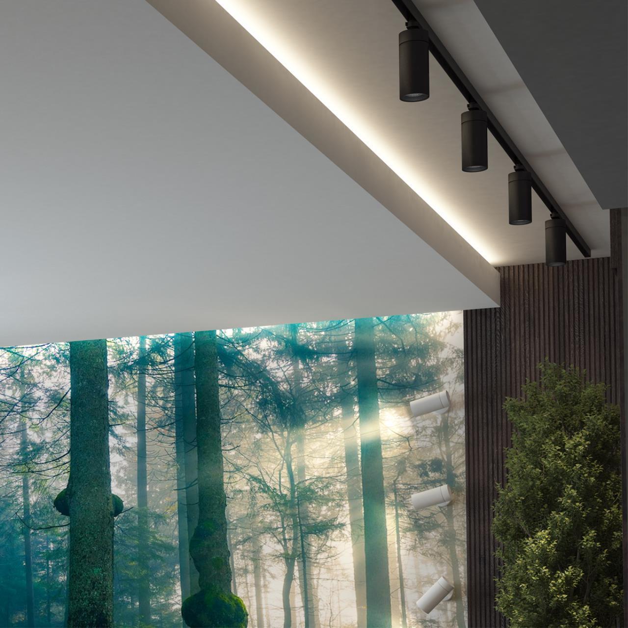 Трехфазный трековый светодиодный cветильник Novotech 358595