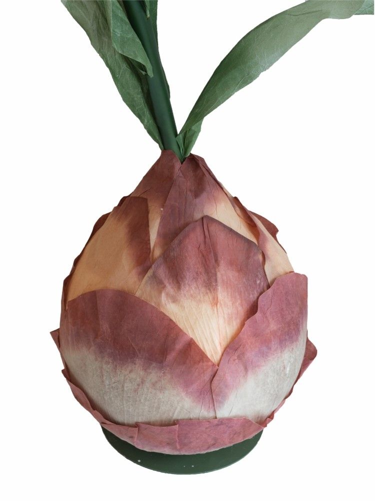 Растение декоративное Гиацинт восточный Glasar F98604