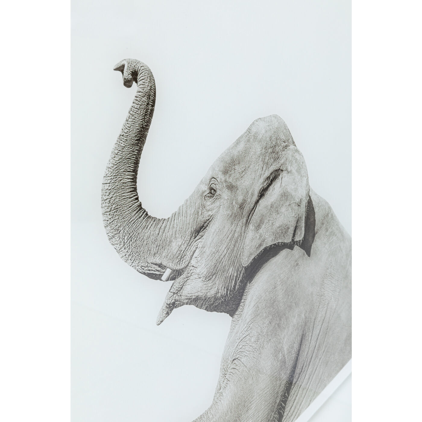 Картина Elephant 53590 Kare