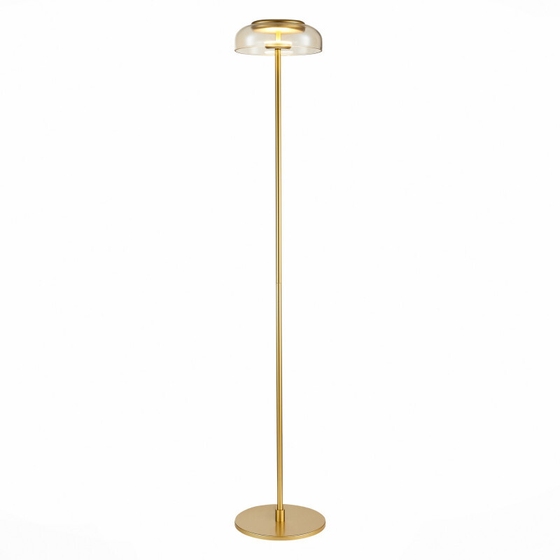 Торшер ST-Luce SL6002.205.01