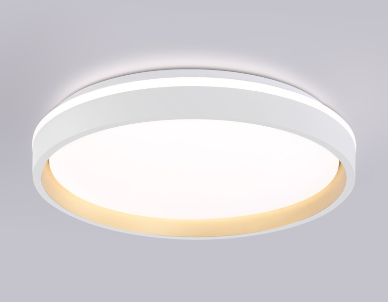 Накладной светильник Ambrella Light FZ607