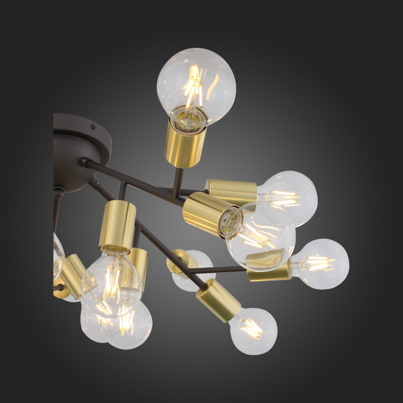 Накладная люстра ST Luce SL437.402.20