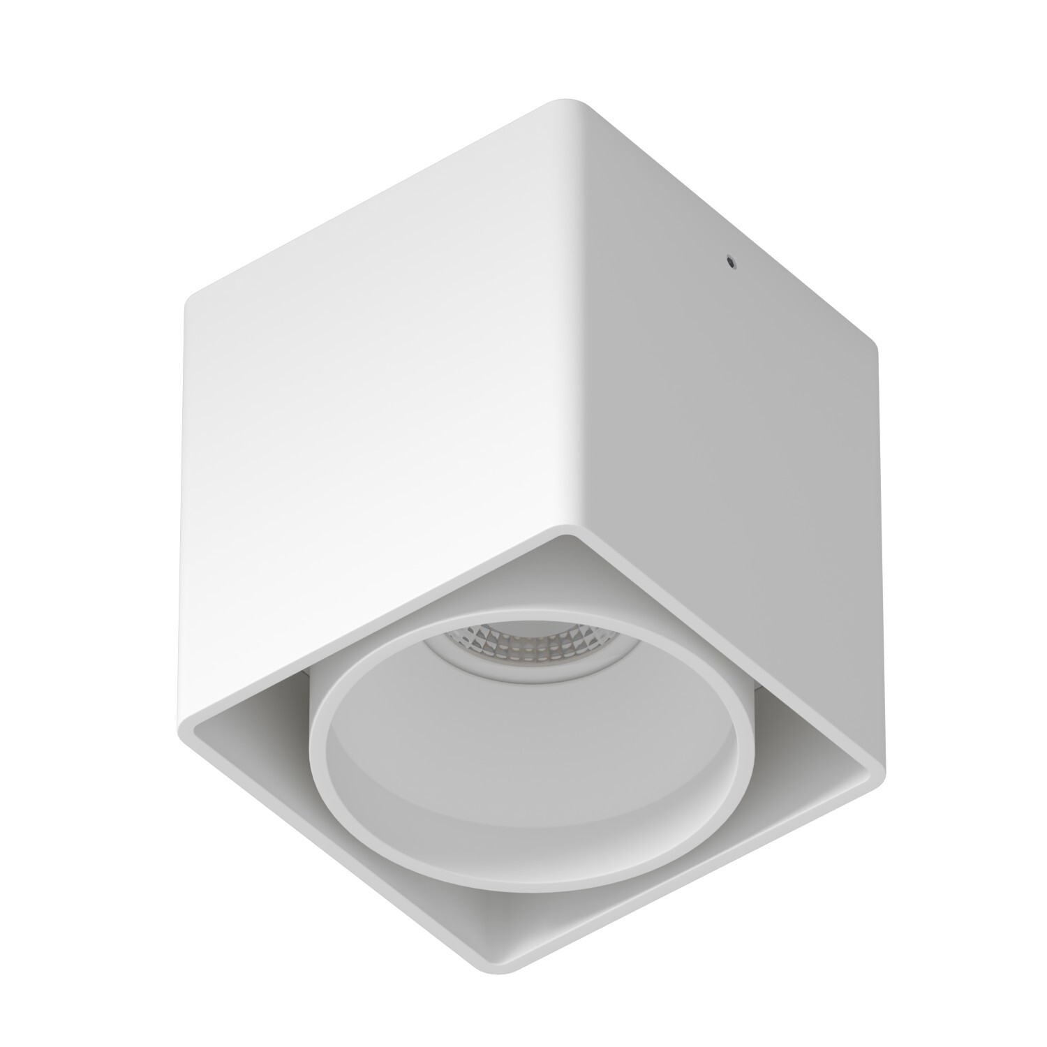 Накладной светильник под сменную лампу Ledron KEA ED GU10  White