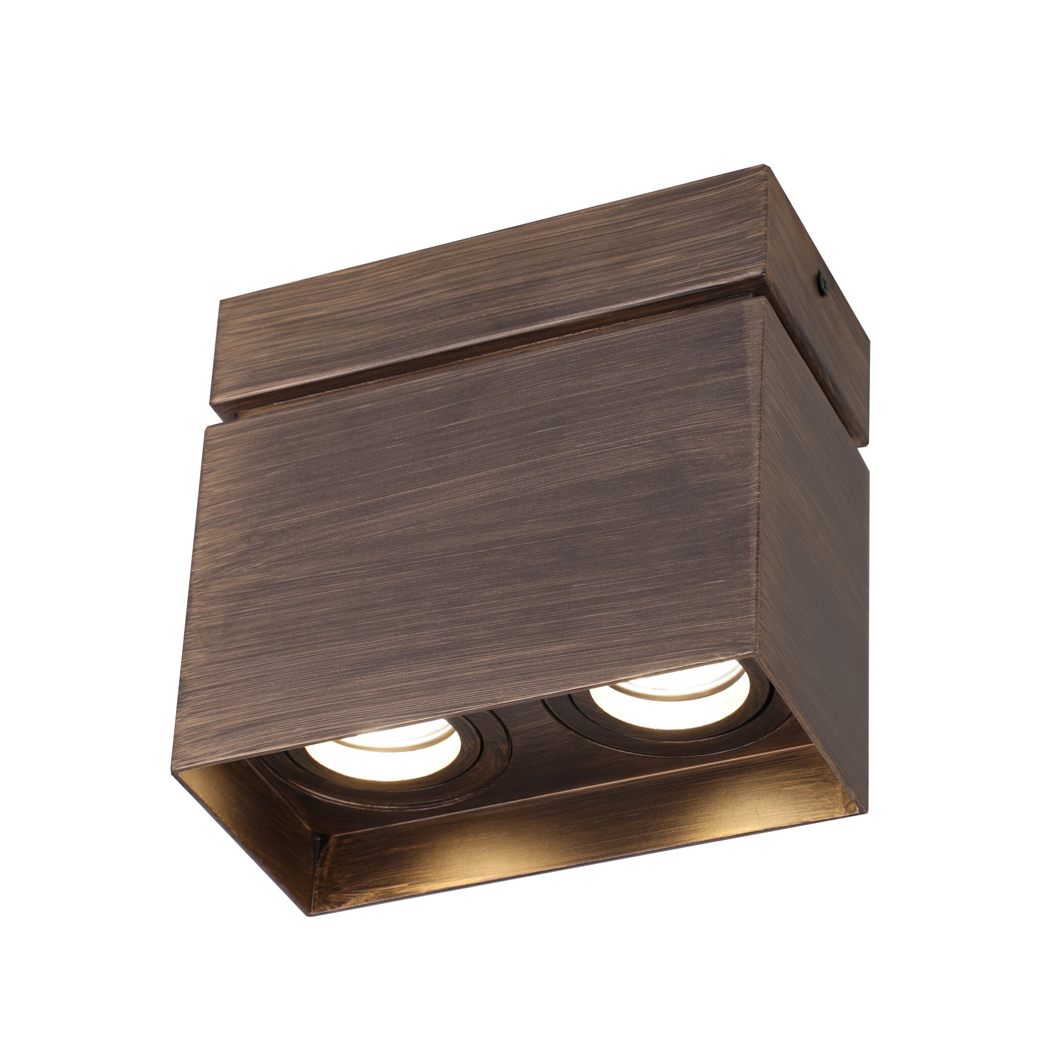 Потолочный светильник Favourite 2794-2U