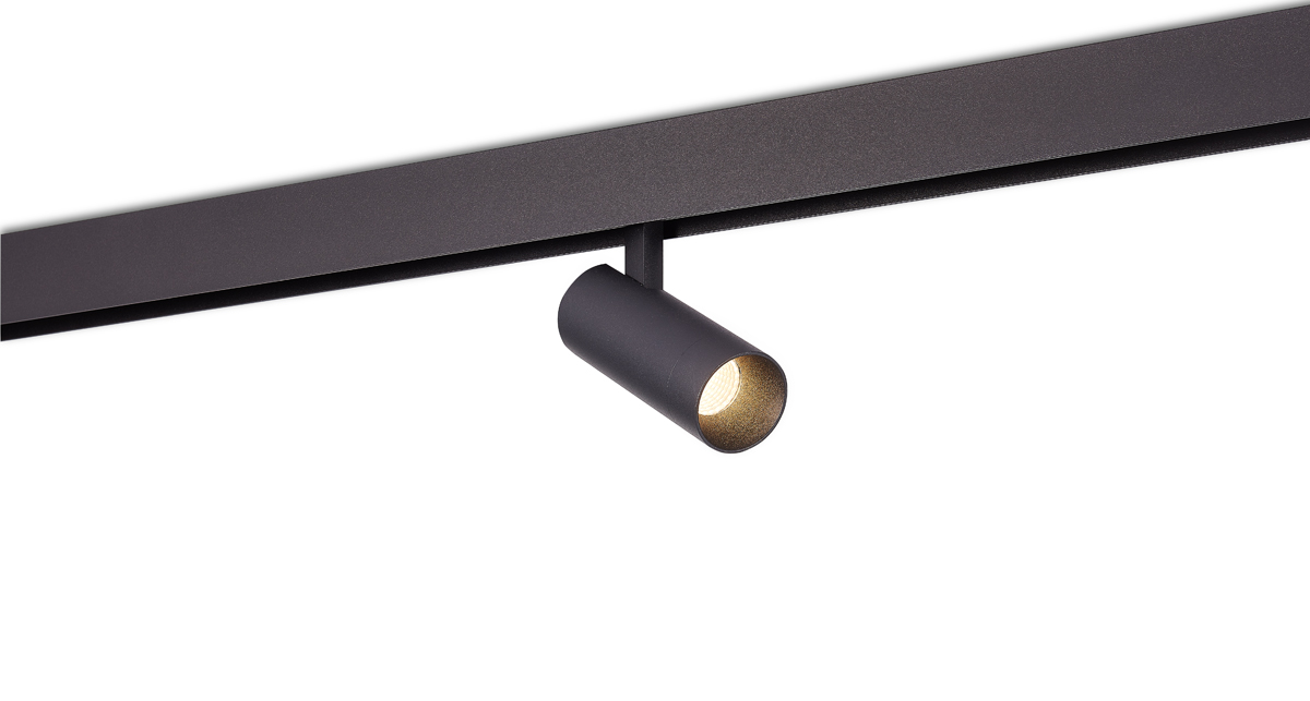 Светодиодный светильник Donolux DL20295NW10B