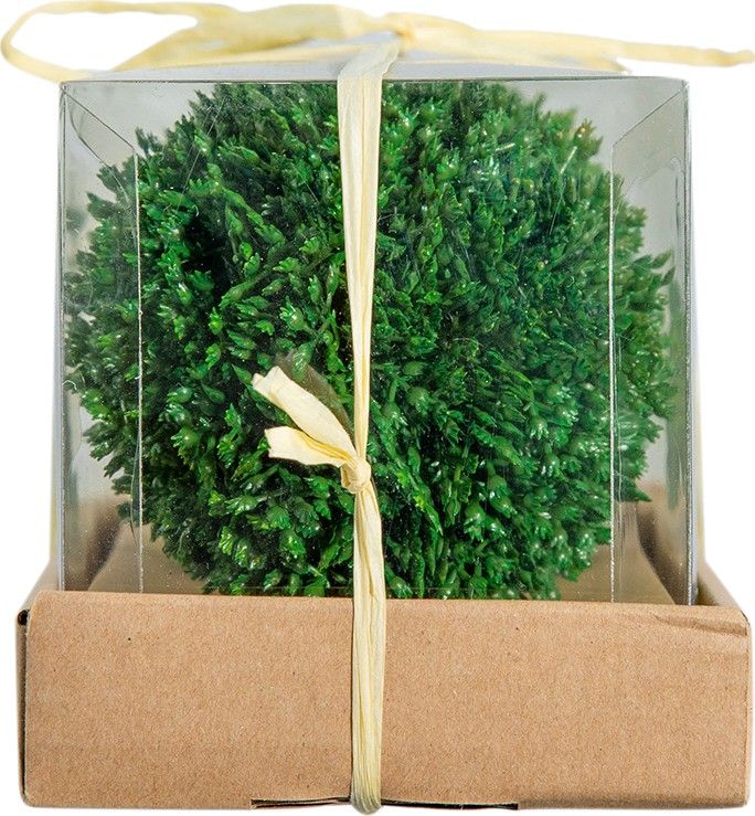 Шары декоративные Самшит, набор Glasar 58203