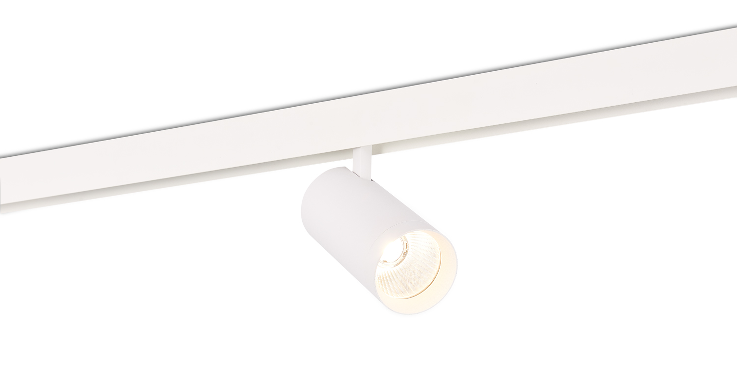 Светодиодный светильник Donolux DL20295TW30WTuya