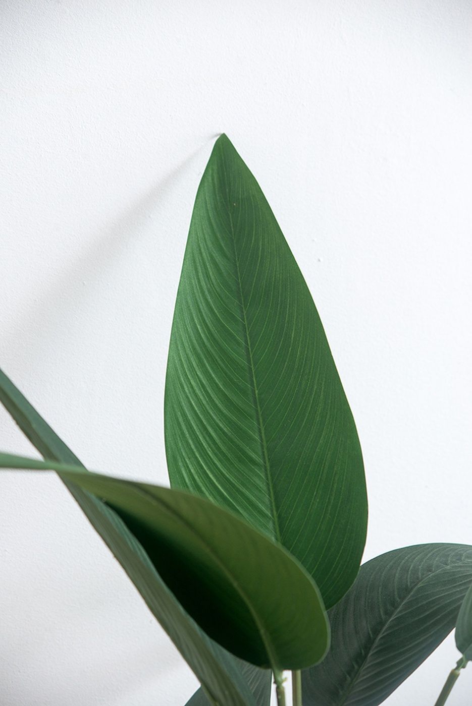 Растение декоративное Glasar SA11850-DS-AB