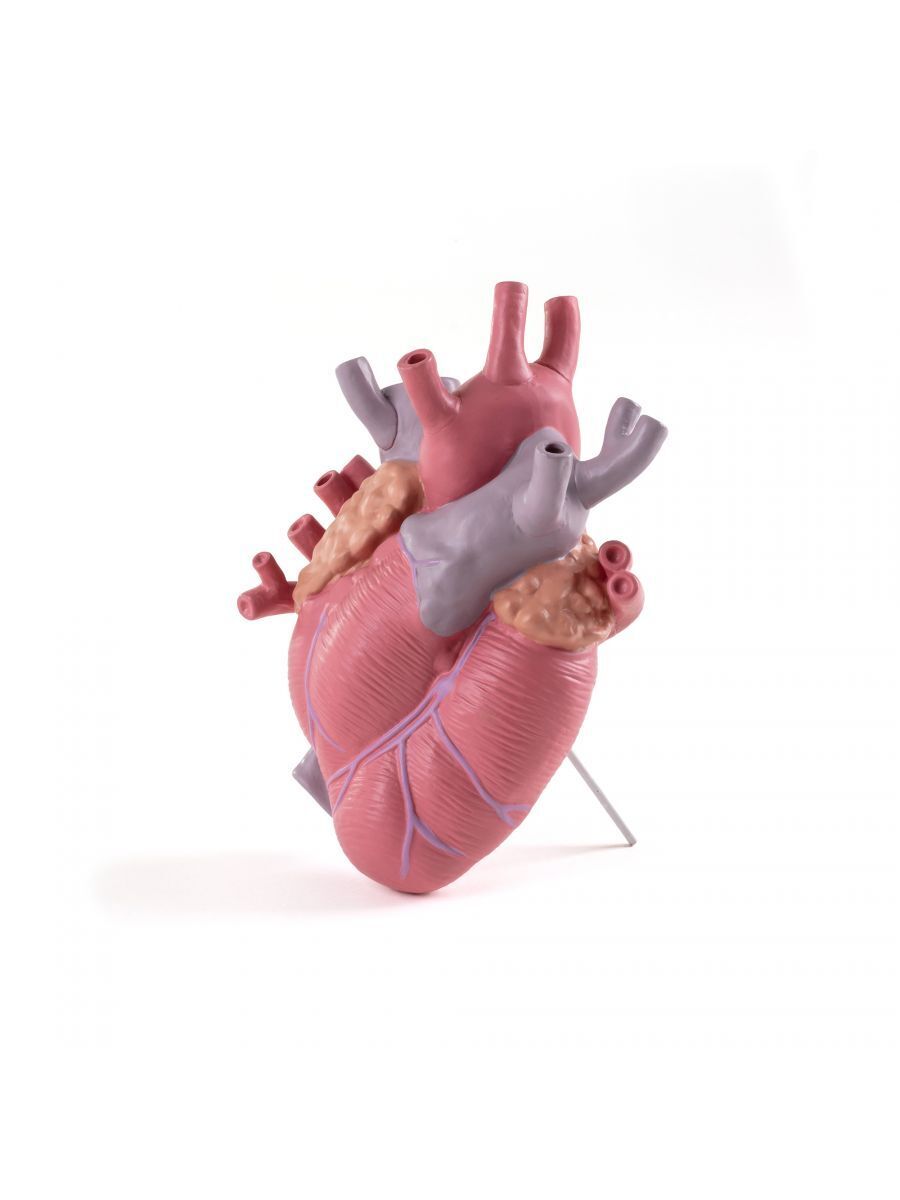 Ваза Seletti Love in Bloom Color 09923