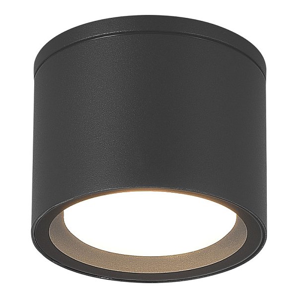 Накладной уличный светильник ST-Luce SL9006.702.01