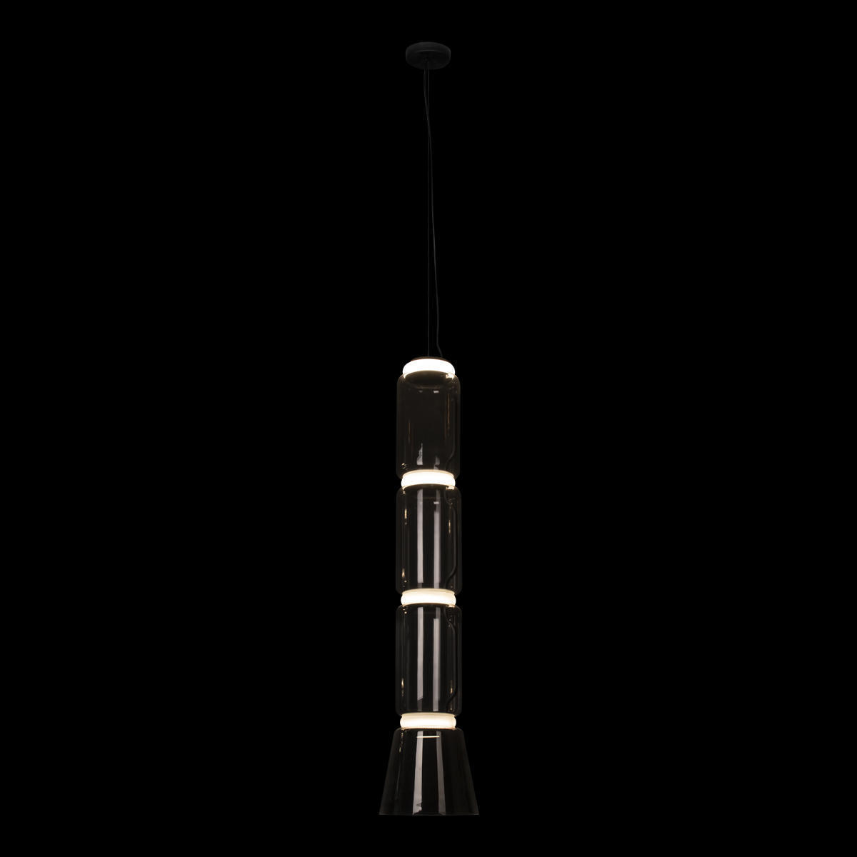 Подвесной светильник LOFT IT Noctambule 10193/L