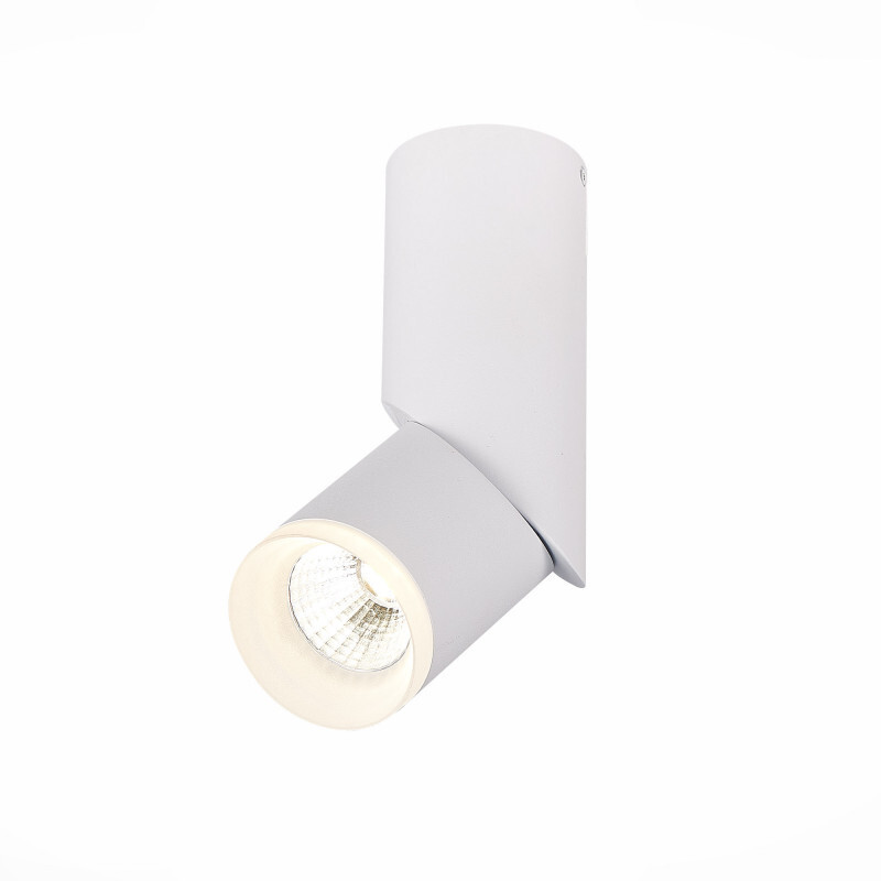 Накладной светильник ST Luce ST107.542.10