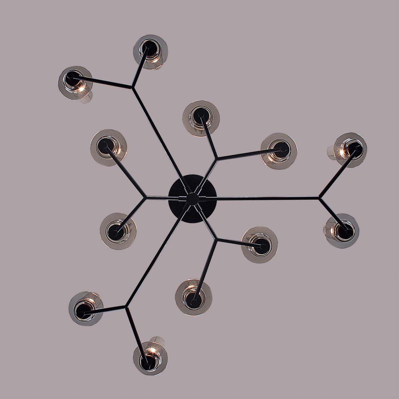 Люстра потолочная Lumion 6555/12C